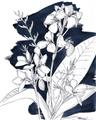 Picture of Blue & White Flower I  _GroupedProduct_Rectangle_Portrait_Unframed_Print_Only_