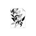 Picture of Black Botanical _GroupedProduct_Rectangle_Portrait_Unframed_Print_Only_