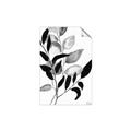 Picture of Black Botanical _GroupedProduct_Rectangle_Portrait_Unframed_Print_Only_
