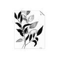 Picture of Black Botanical _GroupedProduct_Rectangle_Portrait_Unframed_Print_Only_