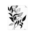 Picture of Black Botanical _GroupedProduct_Rectangle_Portrait_Unframed_Print_Only_