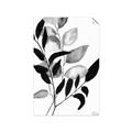 Picture of Black Botanical _GroupedProduct_Rectangle_Portrait_Unframed_Print_Only_