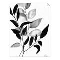Picture of Black Botanical _GroupedProduct_Rectangle_Portrait_Unframed_Print_Only_