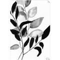 Picture of Black Botanical _GroupedProduct_Rectangle_Portrait_Unframed_Print_Only_
