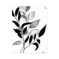 Picture of Black Botanical _GroupedProduct_Rectangle_Portrait_Unframed_Print_Only_