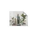 Picture of Plant Group _GroupedProduct_Rectangle_Landscape_Unframed_Print_Only_