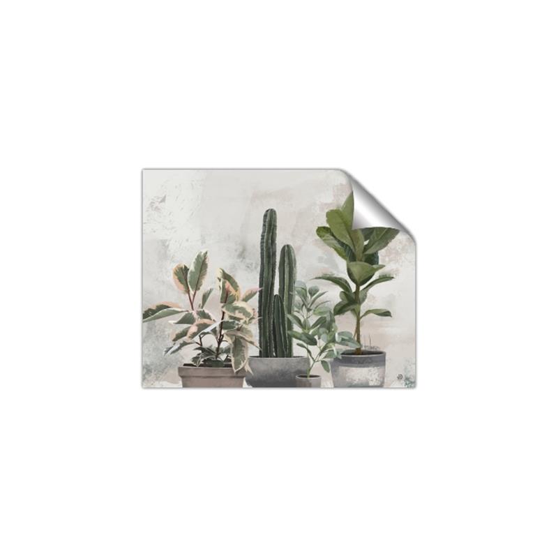 Picture of Plant Group _GroupedProduct_Rectangle_Landscape_Unframed_Print_Only_