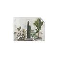 Picture of Plant Group _GroupedProduct_Rectangle_Landscape_Unframed_Print_Only_