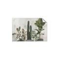 Picture of Plant Group _GroupedProduct_Rectangle_Landscape_Unframed_Print_Only_