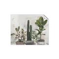 Picture of Plant Group _GroupedProduct_Rectangle_Landscape_Unframed_Print_Only_
