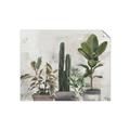 Picture of Plant Group _GroupedProduct_Rectangle_Landscape_Unframed_Print_Only_