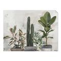 Picture of Plant Group _GroupedProduct_Rectangle_Landscape_Unframed_Print_Only_