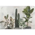 Picture of Plant Group _GroupedProduct_Rectangle_Landscape_Unframed_Print_Only_