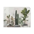 Picture of Plant Group _GroupedProduct_Rectangle_Landscape_Unframed_Print_Only_