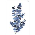 Picture of Blue Color Eucalyptus I  _GroupedProduct_Rectangle_Portrait_Unframed_Print_Only_