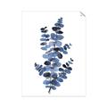 Picture of Blue Color Eucalyptus I  _GroupedProduct_Rectangle_Portrait_Unframed_Print_Only_