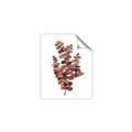 Picture of Rust Color Eucalyptus II  _GroupedProduct_Rectangle_Portrait_Unframed_Print_Only_
