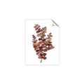 Picture of Rust Color Eucalyptus II  _GroupedProduct_Rectangle_Portrait_Unframed_Print_Only_