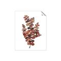 Picture of Rust Color Eucalyptus II  _GroupedProduct_Rectangle_Portrait_Unframed_Print_Only_