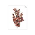 Picture of Rust Color Eucalyptus II  _GroupedProduct_Rectangle_Portrait_Unframed_Print_Only_