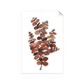 Picture of Rust Color Eucalyptus II  _GroupedProduct_Rectangle_Portrait_Unframed_Print_Only_