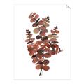 Picture of Rust Color Eucalyptus II  _GroupedProduct_Rectangle_Portrait_Unframed_Print_Only_