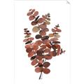 Picture of Rust Color Eucalyptus II  _GroupedProduct_Rectangle_Portrait_Unframed_Print_Only_