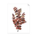 Picture of Rust Color Eucalyptus II  _GroupedProduct_Rectangle_Portrait_Unframed_Print_Only_
