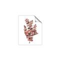 Picture of Pink Color Eucalyptus II _GroupedProduct_Rectangle_Portrait_Unframed_Print_Only_