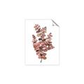 Picture of Pink Color Eucalyptus II _GroupedProduct_Rectangle_Portrait_Unframed_Print_Only_