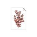 Picture of Pink Color Eucalyptus II _GroupedProduct_Rectangle_Portrait_Unframed_Print_Only_