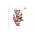 Picture of Pink Color Eucalyptus II _GroupedProduct_Rectangle_Portrait_Unframed_Print_Only_