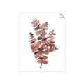 Picture of Pink Color Eucalyptus II _GroupedProduct_Rectangle_Portrait_Unframed_Print_Only_