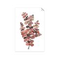 Picture of Pink Color Eucalyptus II _GroupedProduct_Rectangle_Portrait_Unframed_Print_Only_