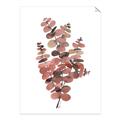 Picture of Pink Color Eucalyptus II _GroupedProduct_Rectangle_Portrait_Unframed_Print_Only_
