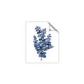 Picture of Blue Color Eucalyptus II  _GroupedProduct_Rectangle_Portrait_Unframed_Print_Only_