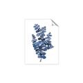 Picture of Blue Color Eucalyptus II  _GroupedProduct_Rectangle_Portrait_Unframed_Print_Only_