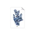 Picture of Blue Color Eucalyptus II  _GroupedProduct_Rectangle_Portrait_Unframed_Print_Only_