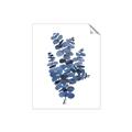 Picture of Blue Color Eucalyptus II  _GroupedProduct_Rectangle_Portrait_Unframed_Print_Only_