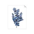 Picture of Blue Color Eucalyptus II  _GroupedProduct_Rectangle_Portrait_Unframed_Print_Only_