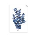 Picture of Blue Color Eucalyptus II  _GroupedProduct_Rectangle_Portrait_Unframed_Print_Only_