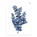 Picture of Blue Color Eucalyptus II  _GroupedProduct_Rectangle_Portrait_Unframed_Print_Only_
