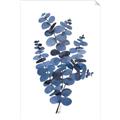 Picture of Blue Color Eucalyptus II  _GroupedProduct_Rectangle_Portrait_Unframed_Print_Only_