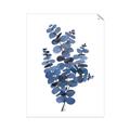 Picture of Blue Color Eucalyptus II  _GroupedProduct_Rectangle_Portrait_Unframed_Print_Only_