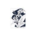 Picture of Blue & White Flower I  _GroupedProduct_Rectangle_Portrait_Unframed_Print_Only_
