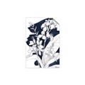 Picture of Blue & White Flower I  _GroupedProduct_Rectangle_Portrait_Unframed_Print_Only_