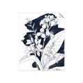 Picture of Blue & White Flower I  _GroupedProduct_Rectangle_Portrait_Unframed_Print_Only_