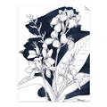 Picture of Blue & White Flower I  _GroupedProduct_Rectangle_Portrait_Unframed_Print_Only_