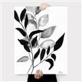 Picture of Black Botanical _GroupedProduct_Rectangle_Portrait_Canvas_