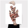 Picture of Rust Color Eucalyptus II  _GroupedProduct_Rectangle_Portrait_Canvas_